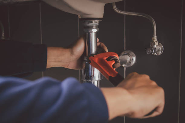 Best Commercial Plumbing Services  in Sutton Alpine, AK