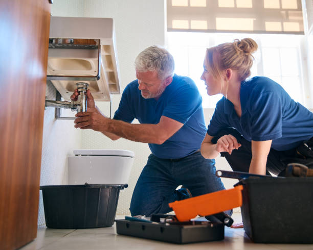 Best Gas Line Repair  in Sutton Alpine, AK